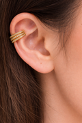 Ear clip
