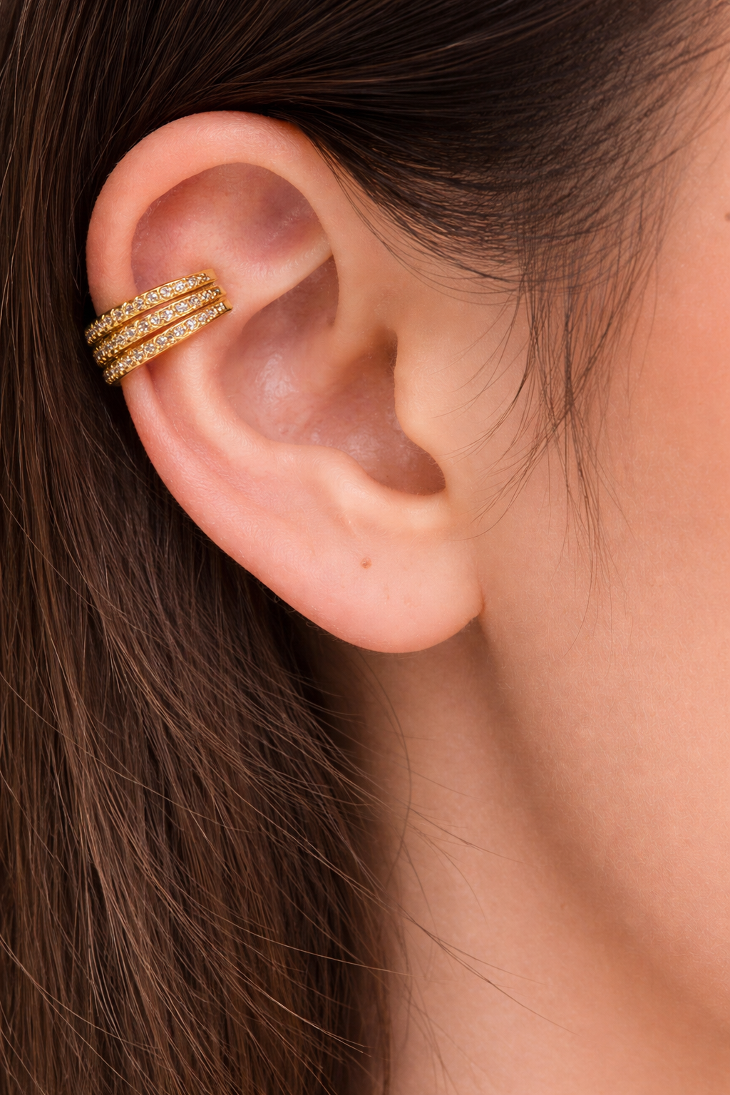 Ear clip
