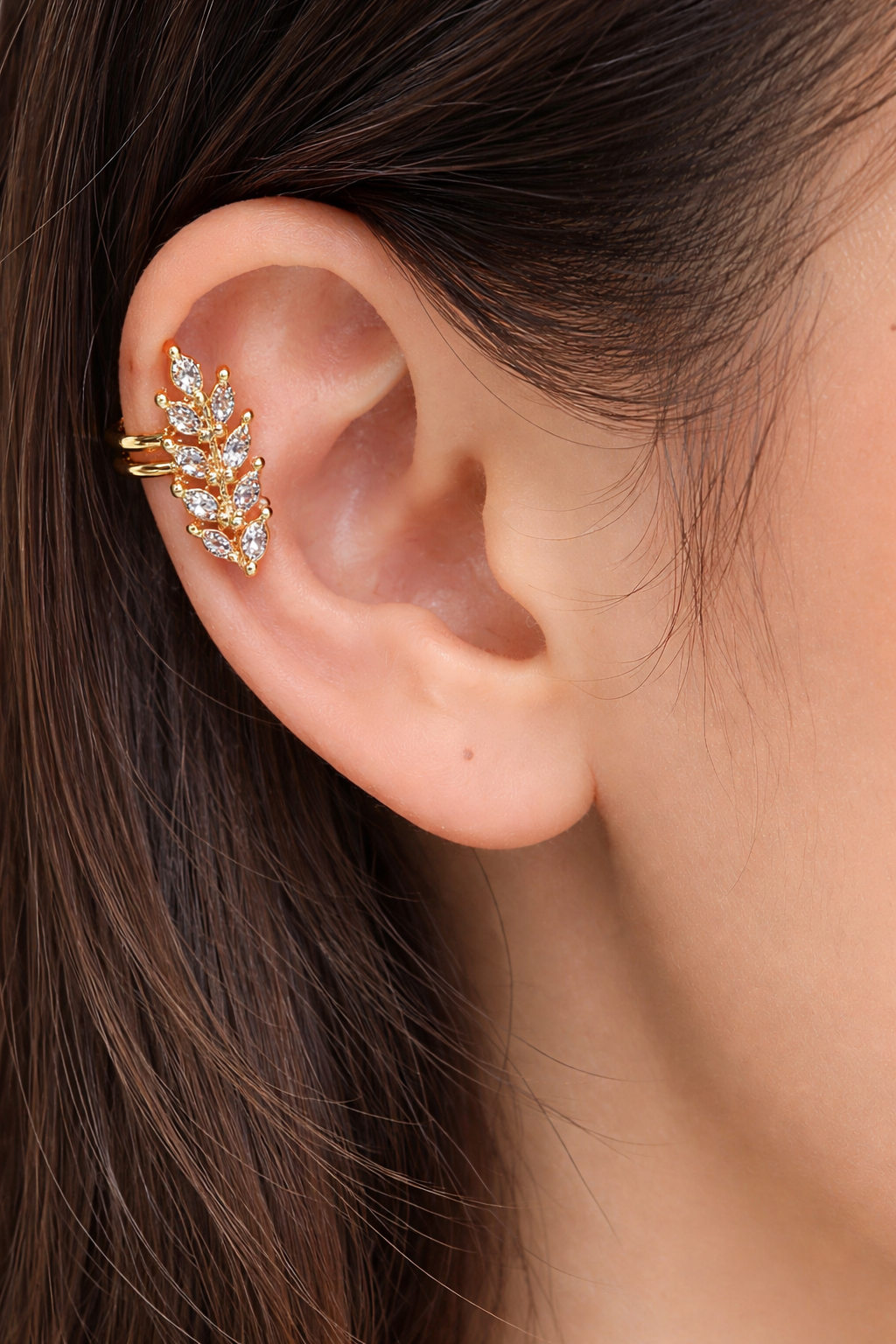 Ear clip
